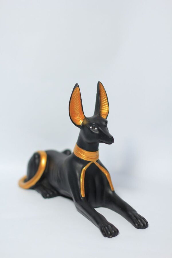 IMG_20251106_230240_777 Anubis in the body of a dog