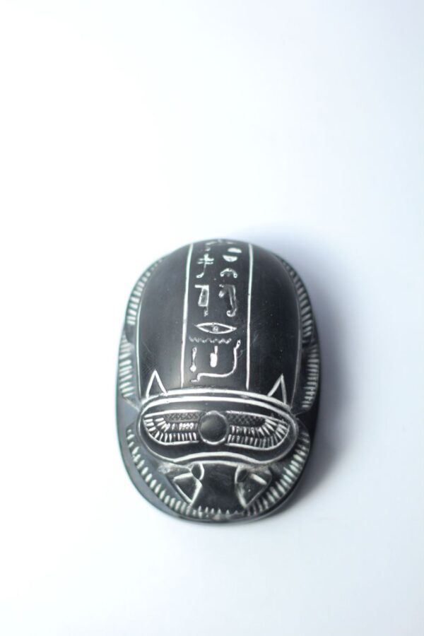 The scarab polyester model