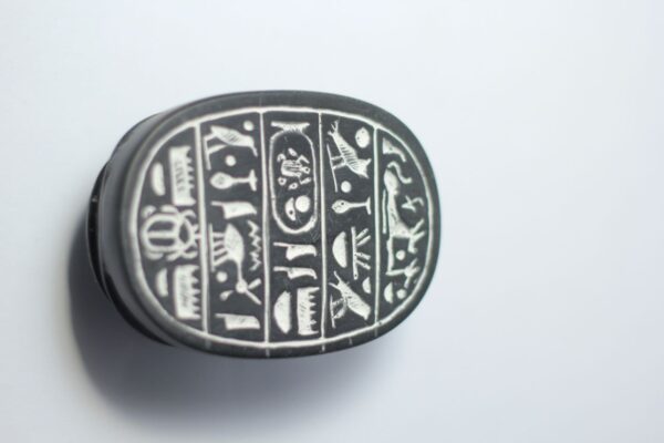 The scarab polyester model