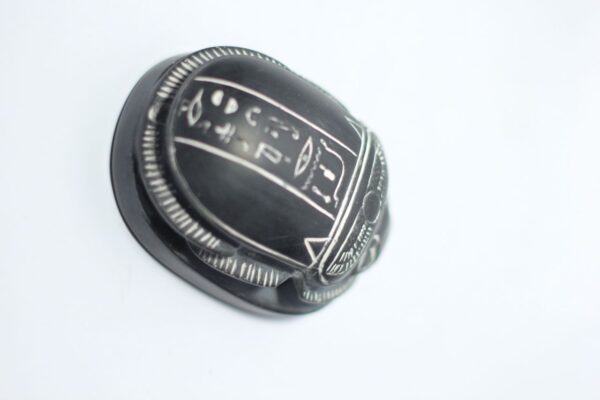 The scarab polyester model