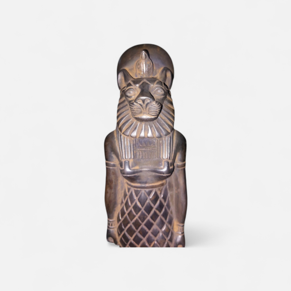 ٢٠٢٦٠١٢٨_١٩٣٠١٧ (1) "Sekhmet"... a power told through details