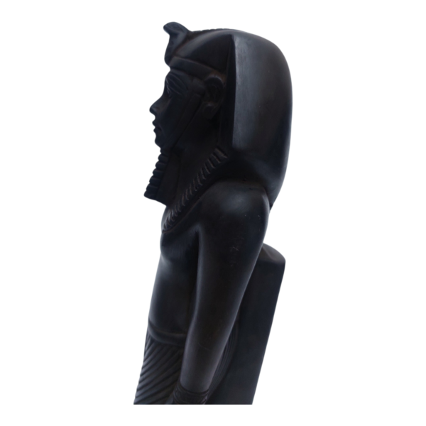 "The king who wanted to change the world... was erased by history!"